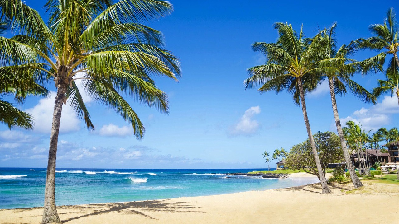 Photo of Others in Poipu