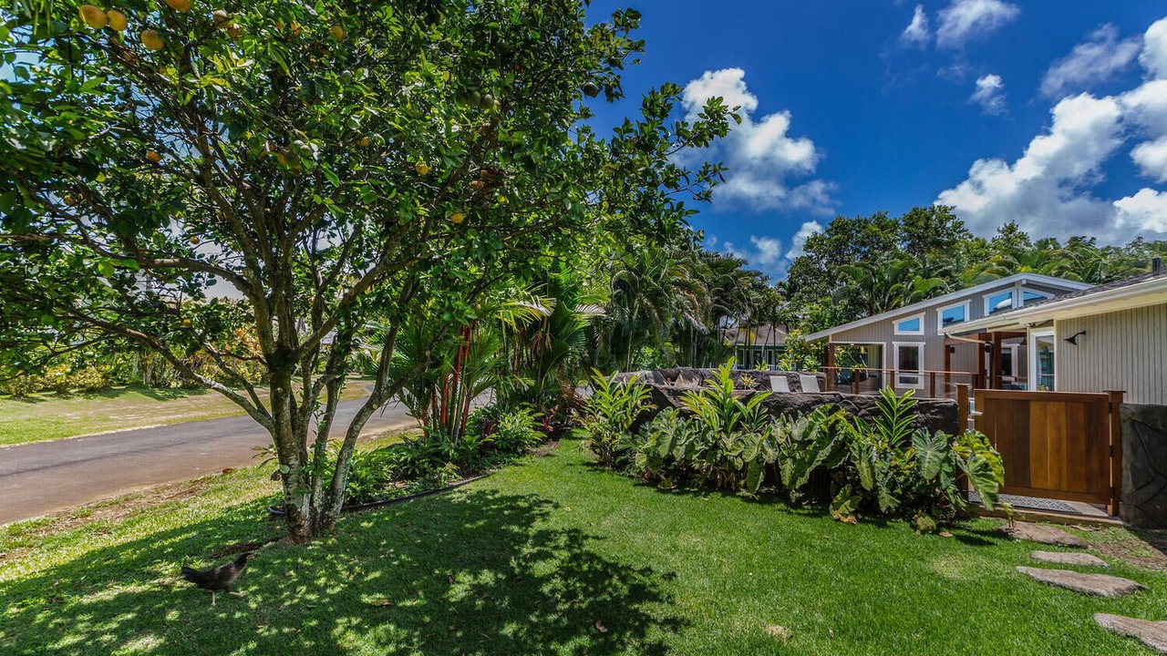 Photo of Outdoor in Princeville