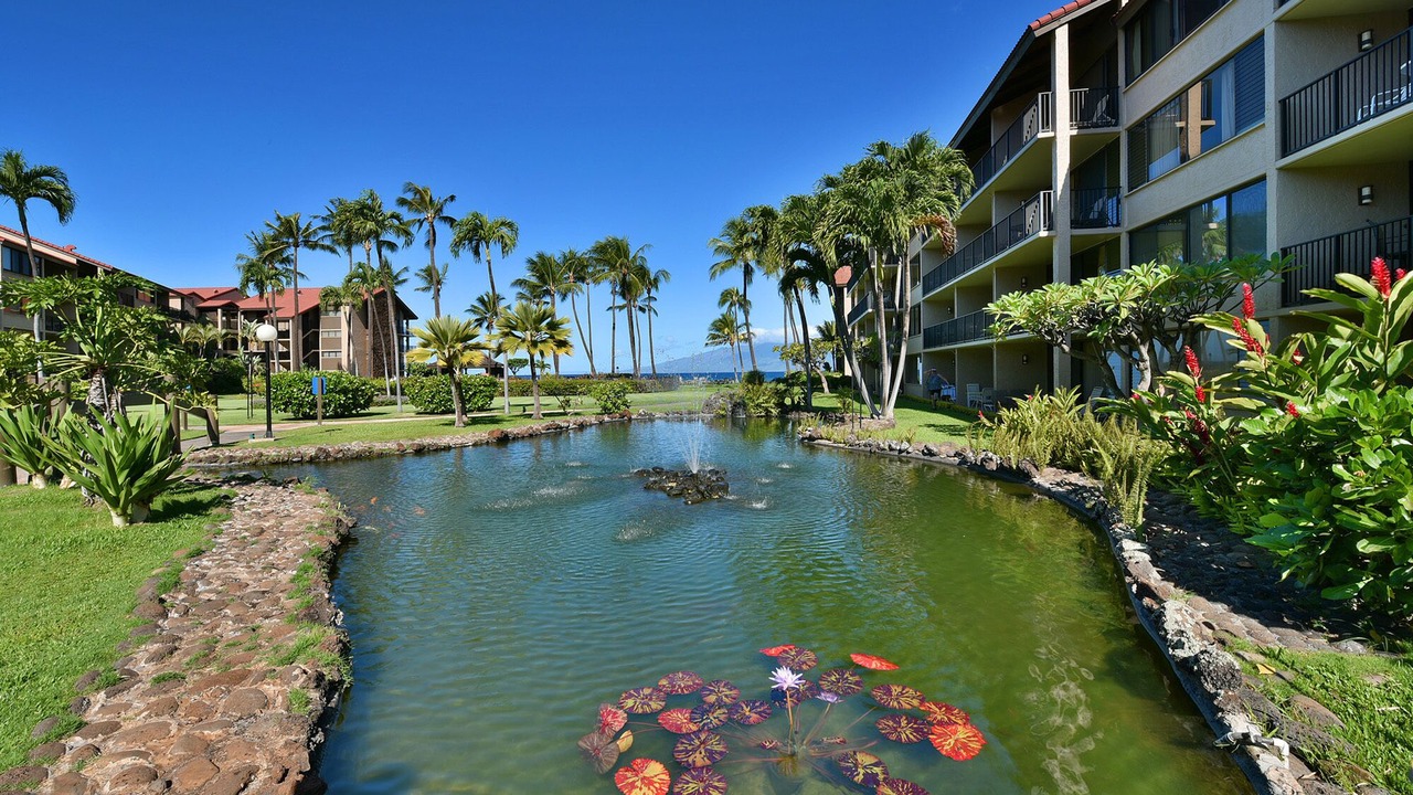 Photo of Outdoor in Honokowai