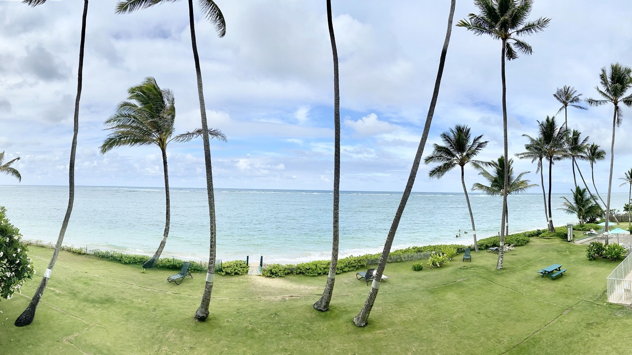 Photo of Outdoor in Punaluu