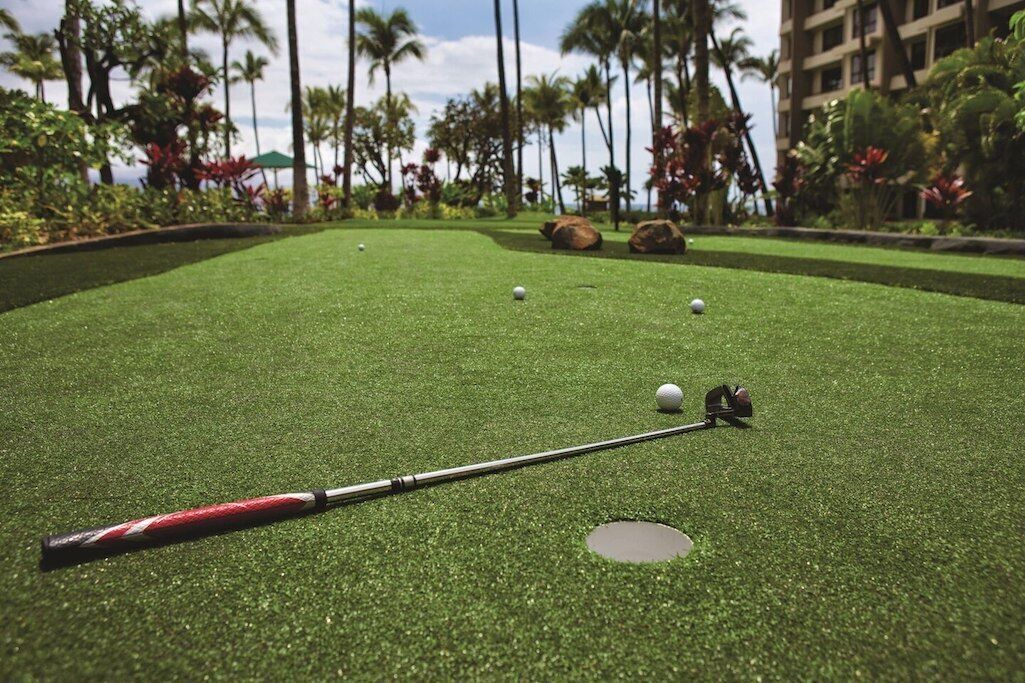 Photo of Others in Kaanapali