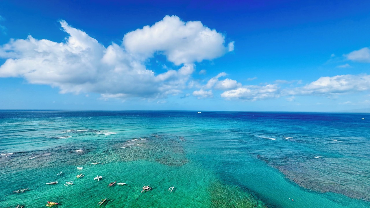 Photo of Others in Diamond Head - Kapahulu - St. Louis