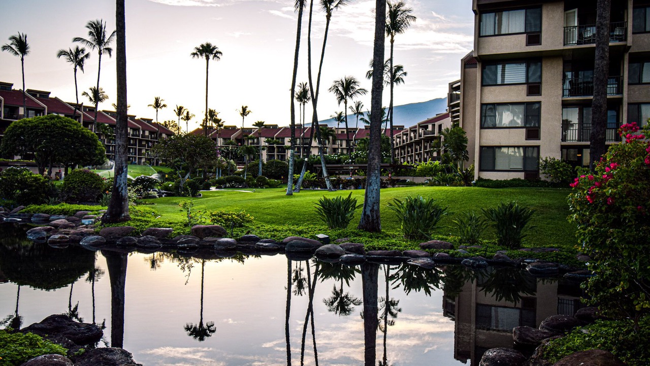 Photo of Outdoor in Kihei