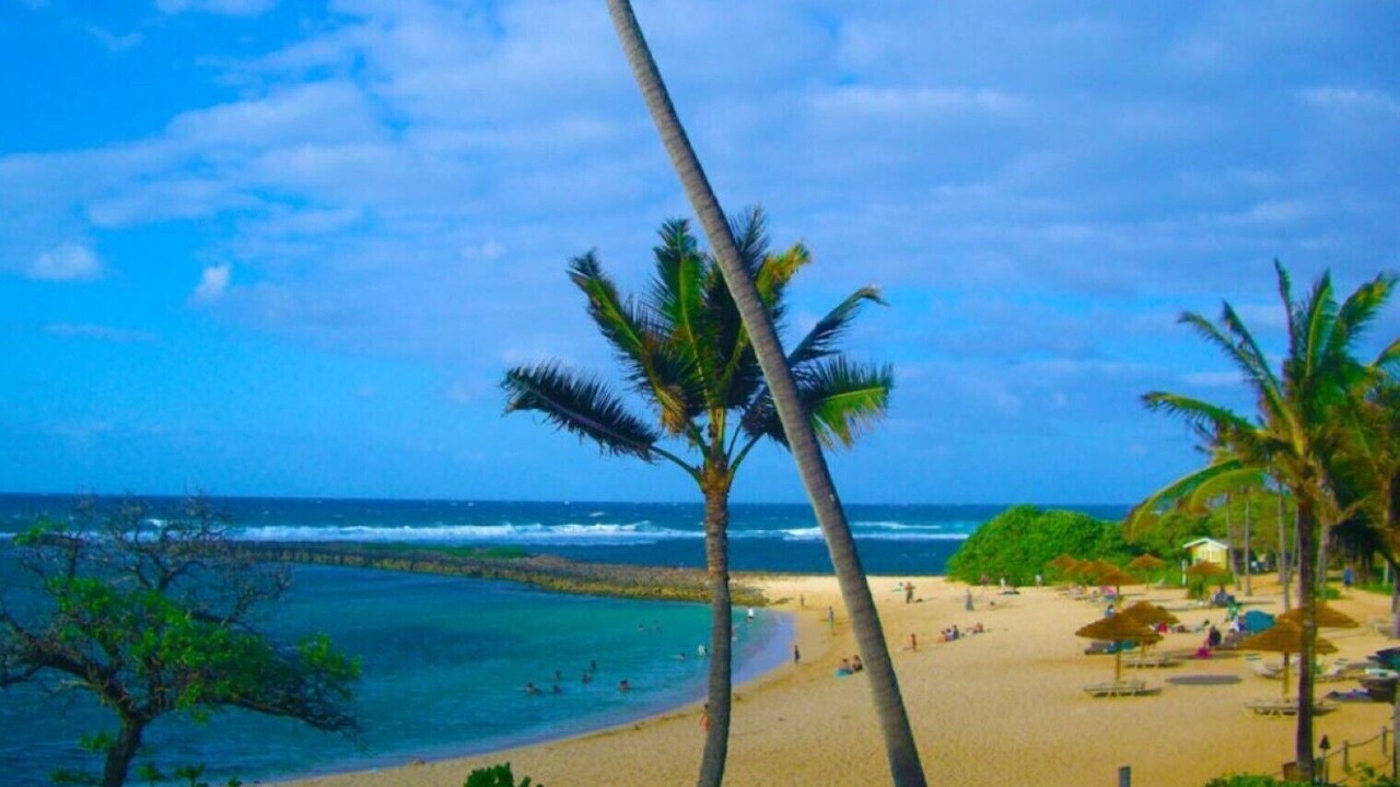Photo of Others in Kahuku