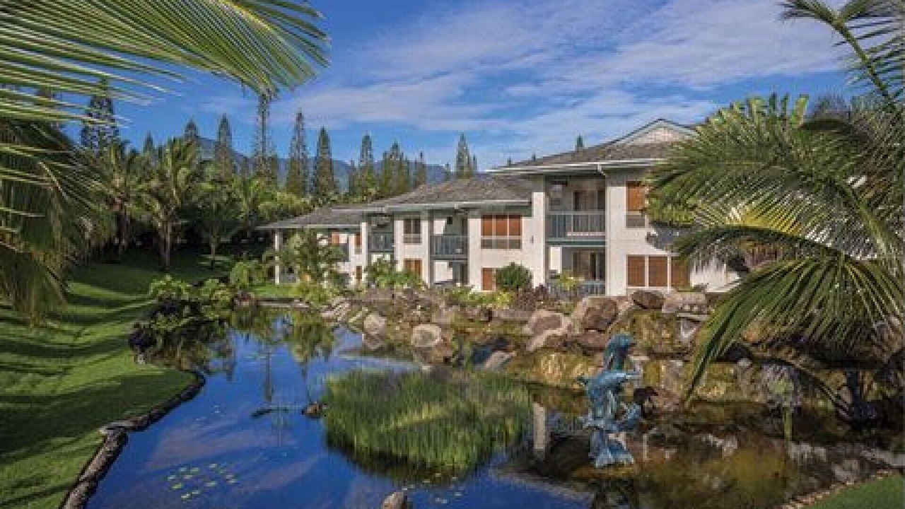 Photo of Outdoor in Princeville