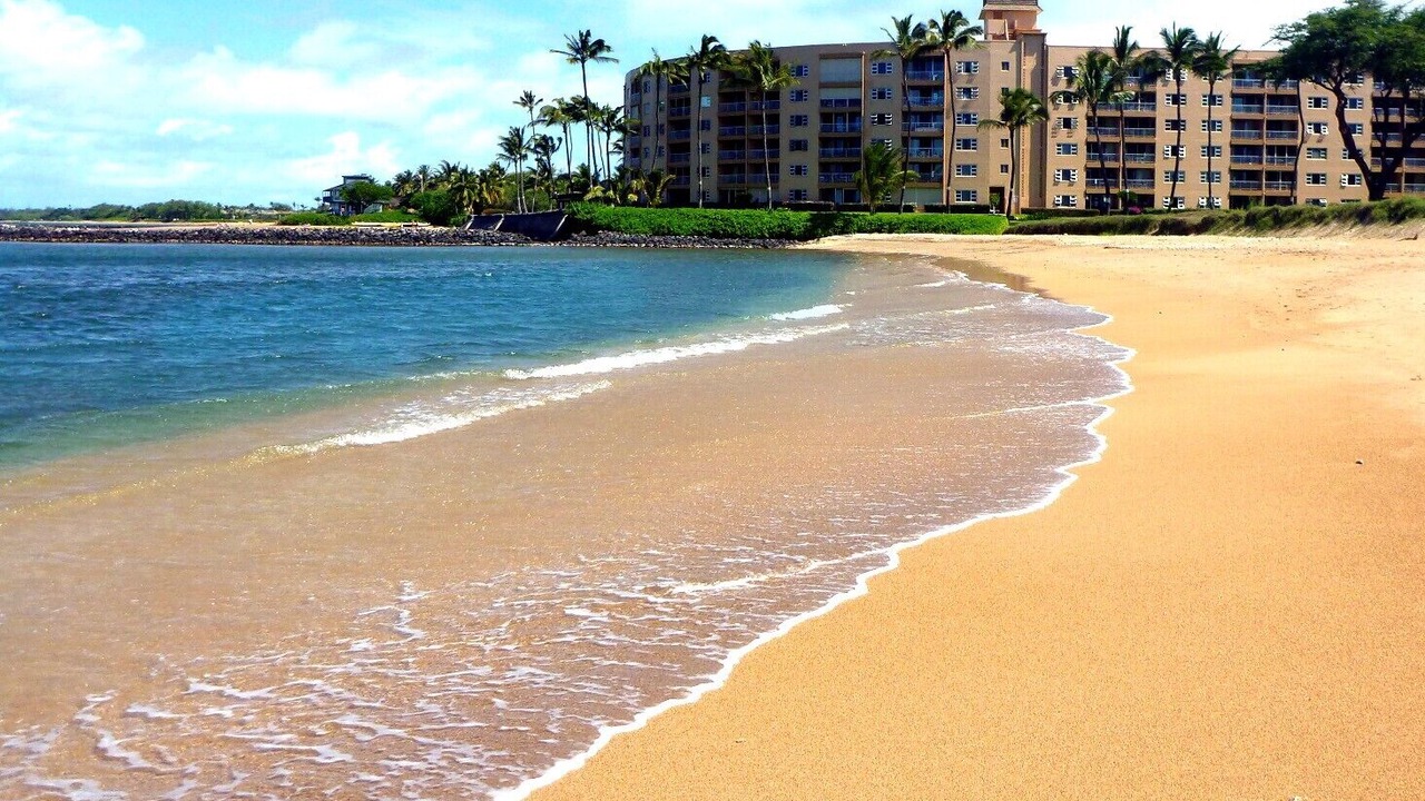 Photo of Others in Kihei
