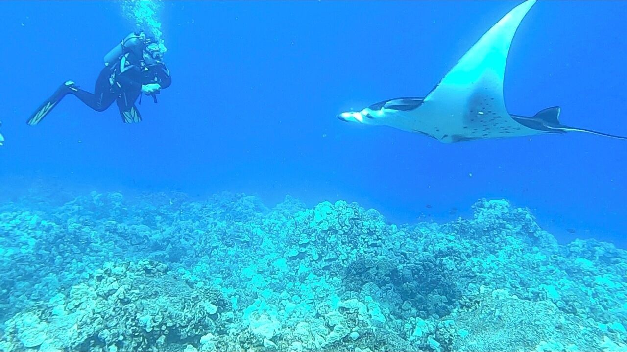 Photo of Others in Kailua-Kona