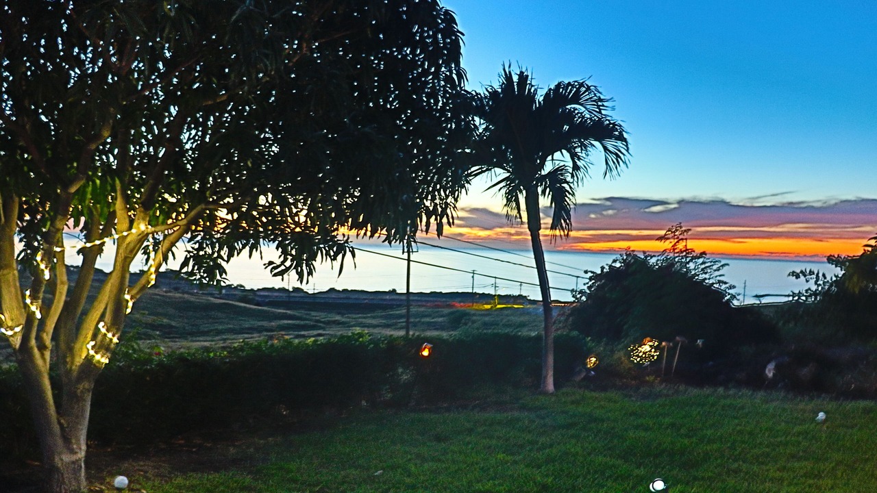 Photo of Outdoor in Kamuela