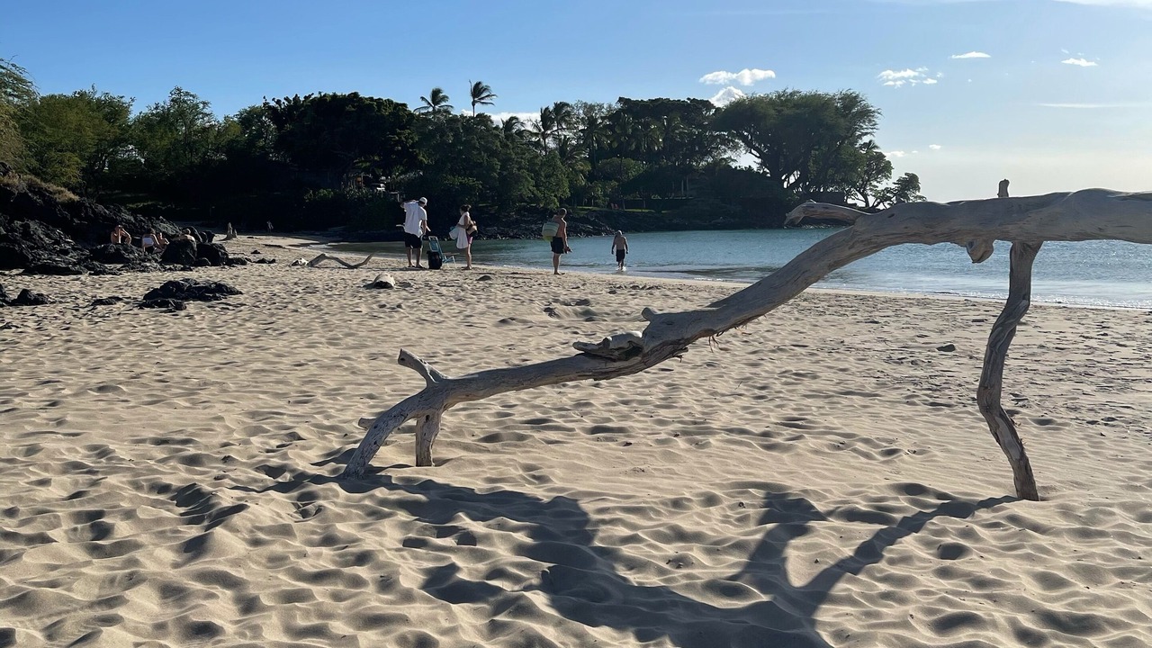 Photo of Others in Kamuela