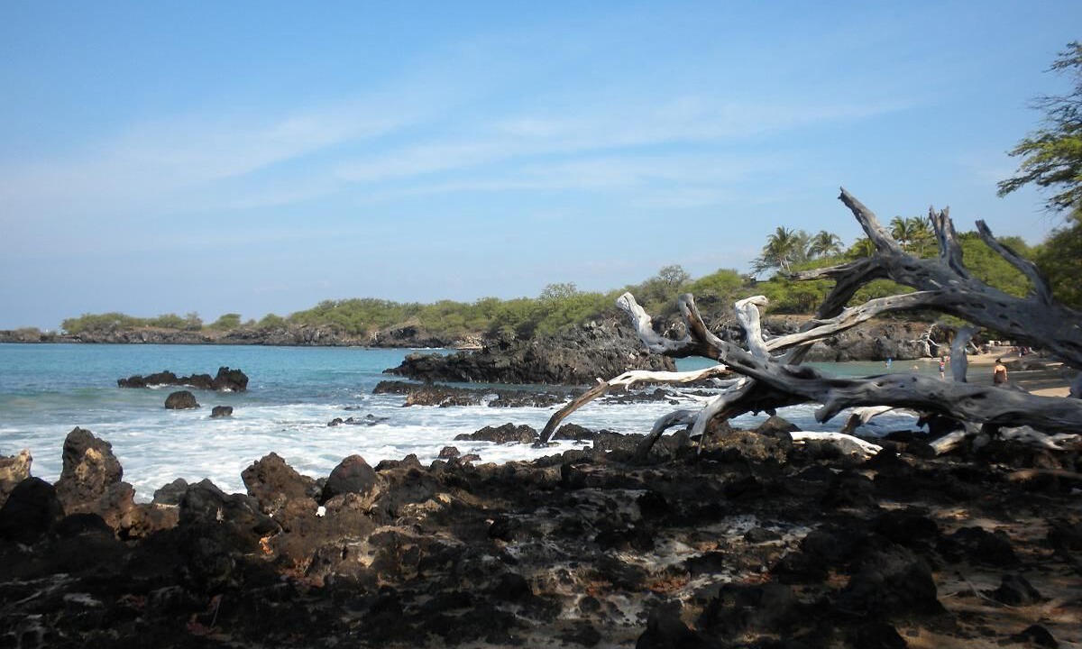 Photo of Others in Kamuela