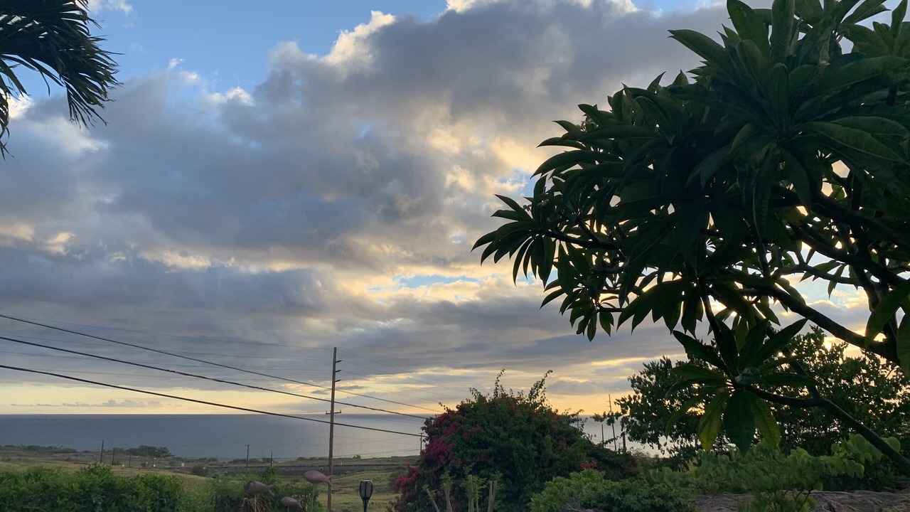 Photo of Outdoor in Kamuela