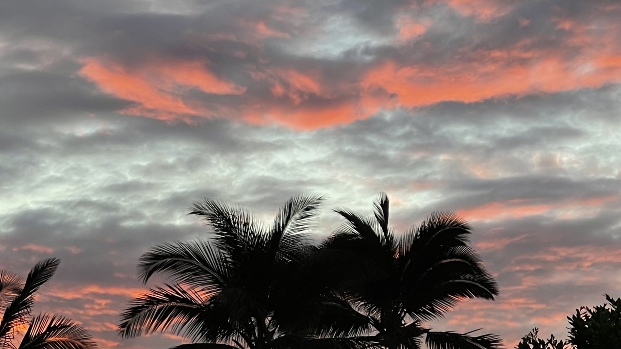 Photo of Outdoor in Kamuela