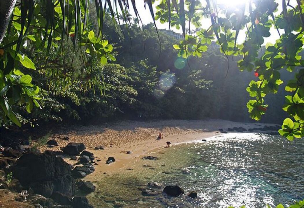 Photo of Others in Princeville