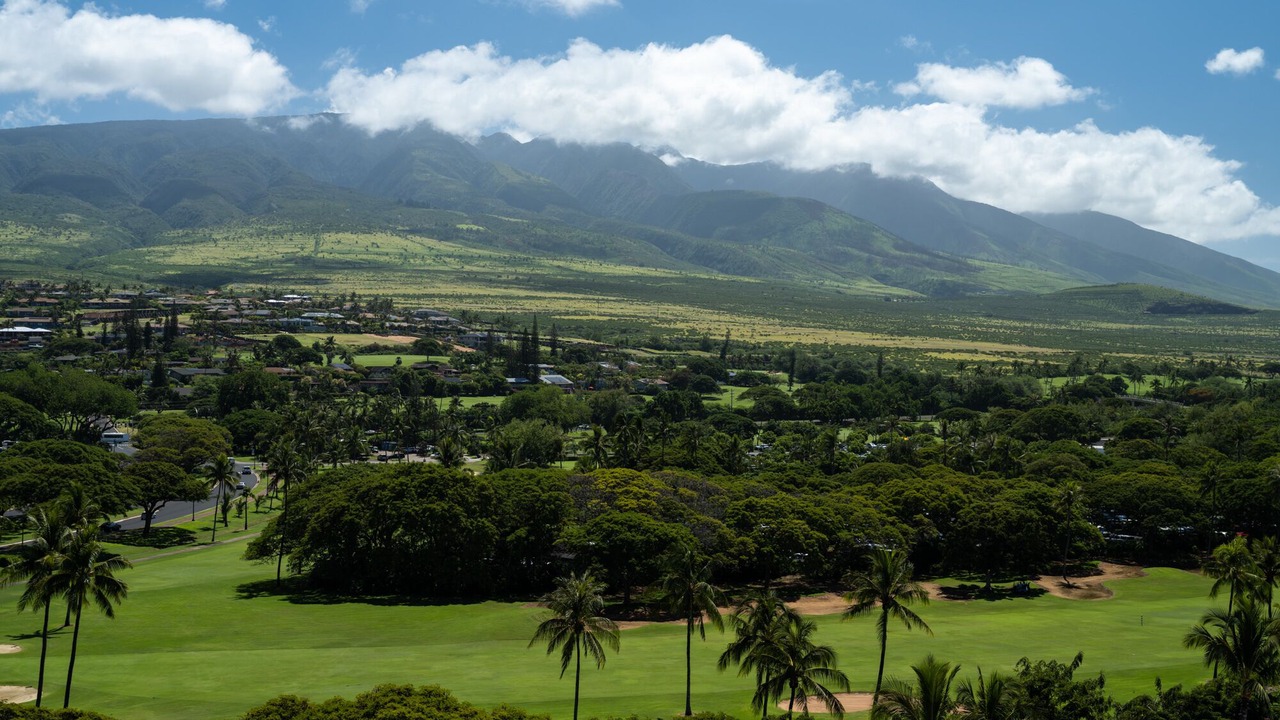 Photo of Others in Kaanapali