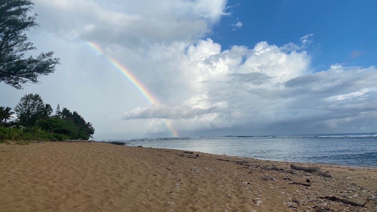 Photo of Others in Wainiha