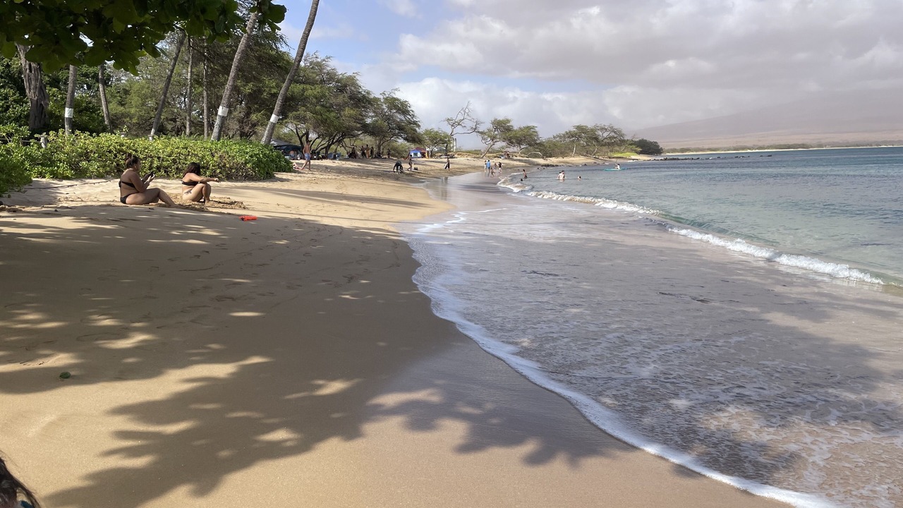 Photo of Others in Maalaea
