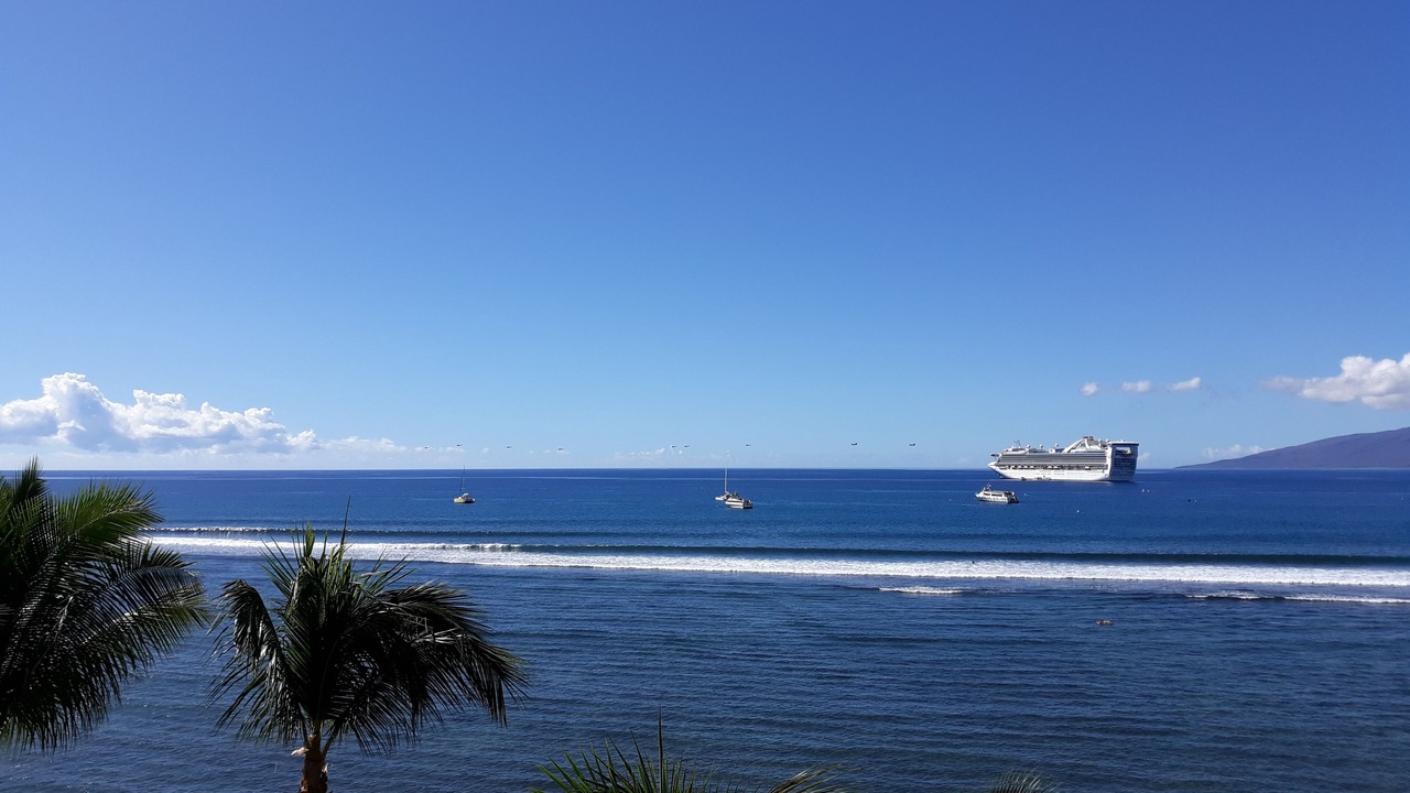 Photo of Others in Historic Lahaina Front Street