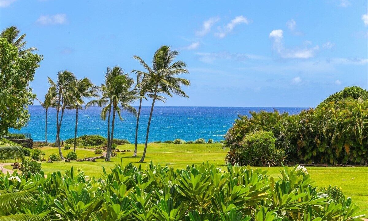 Photo of Others in Poipu