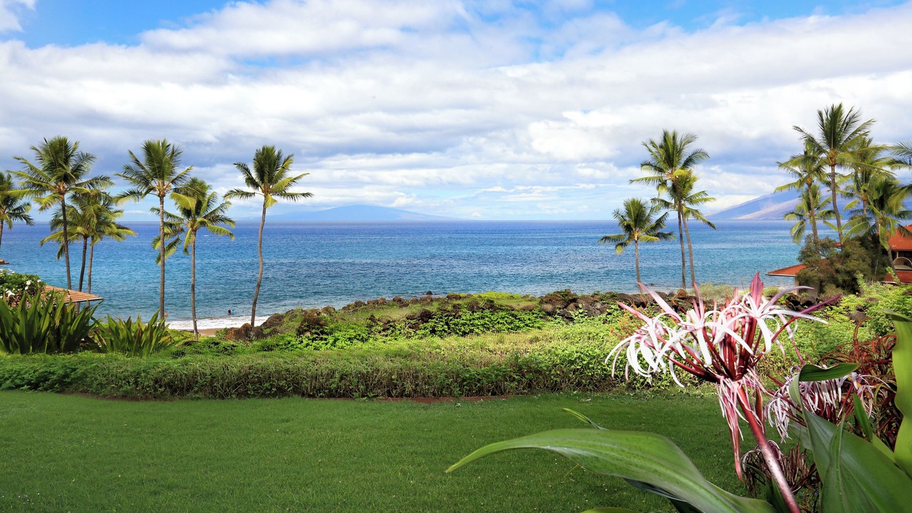 Photo of Others in Wailea