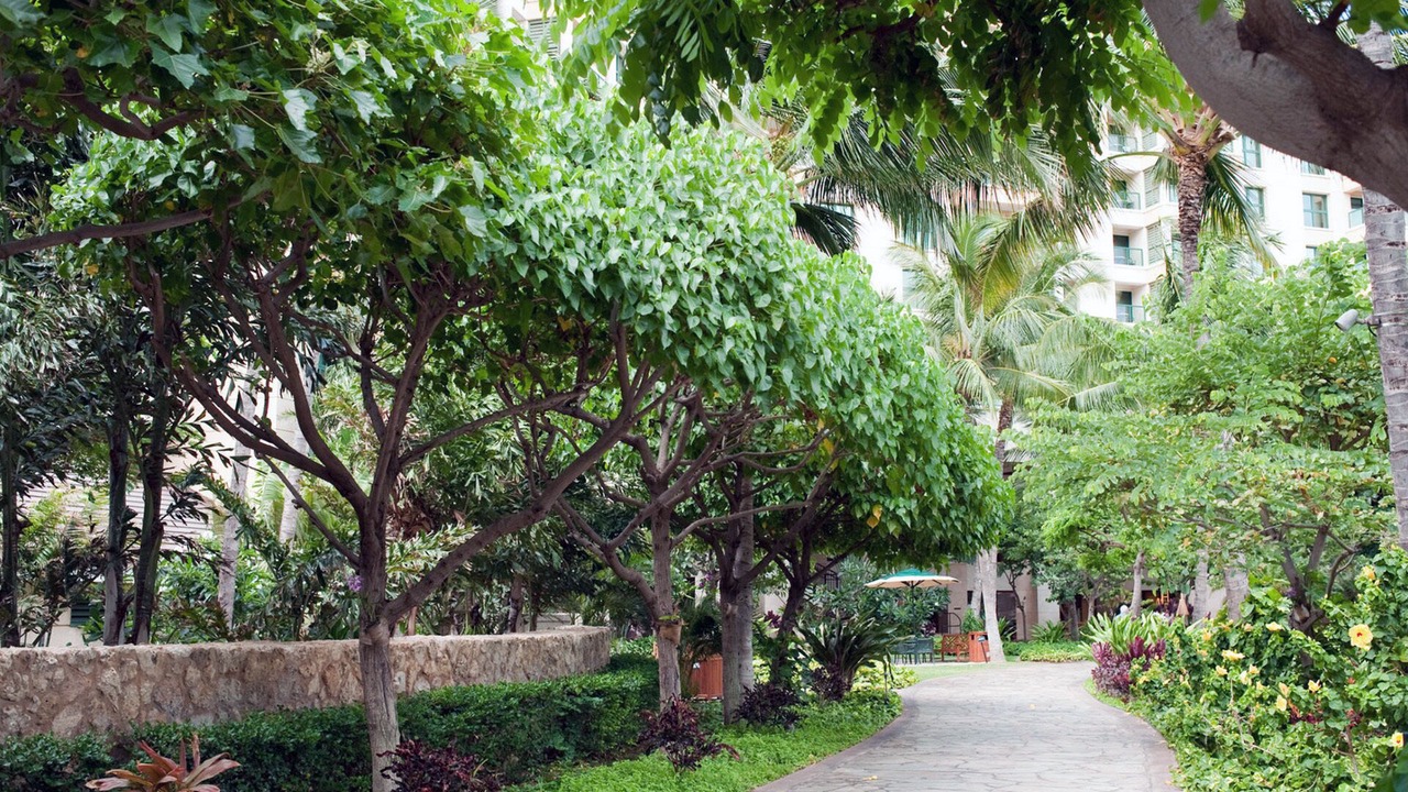 Photo of Outdoor in Ko Olina