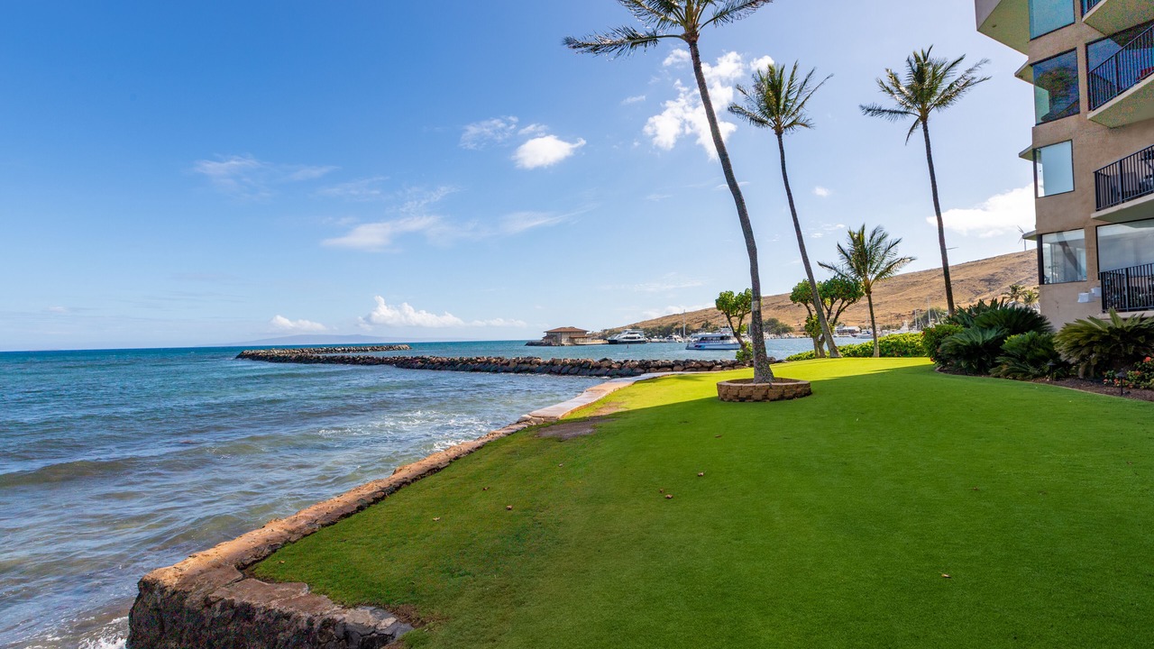 Photo of Others in Maalaea