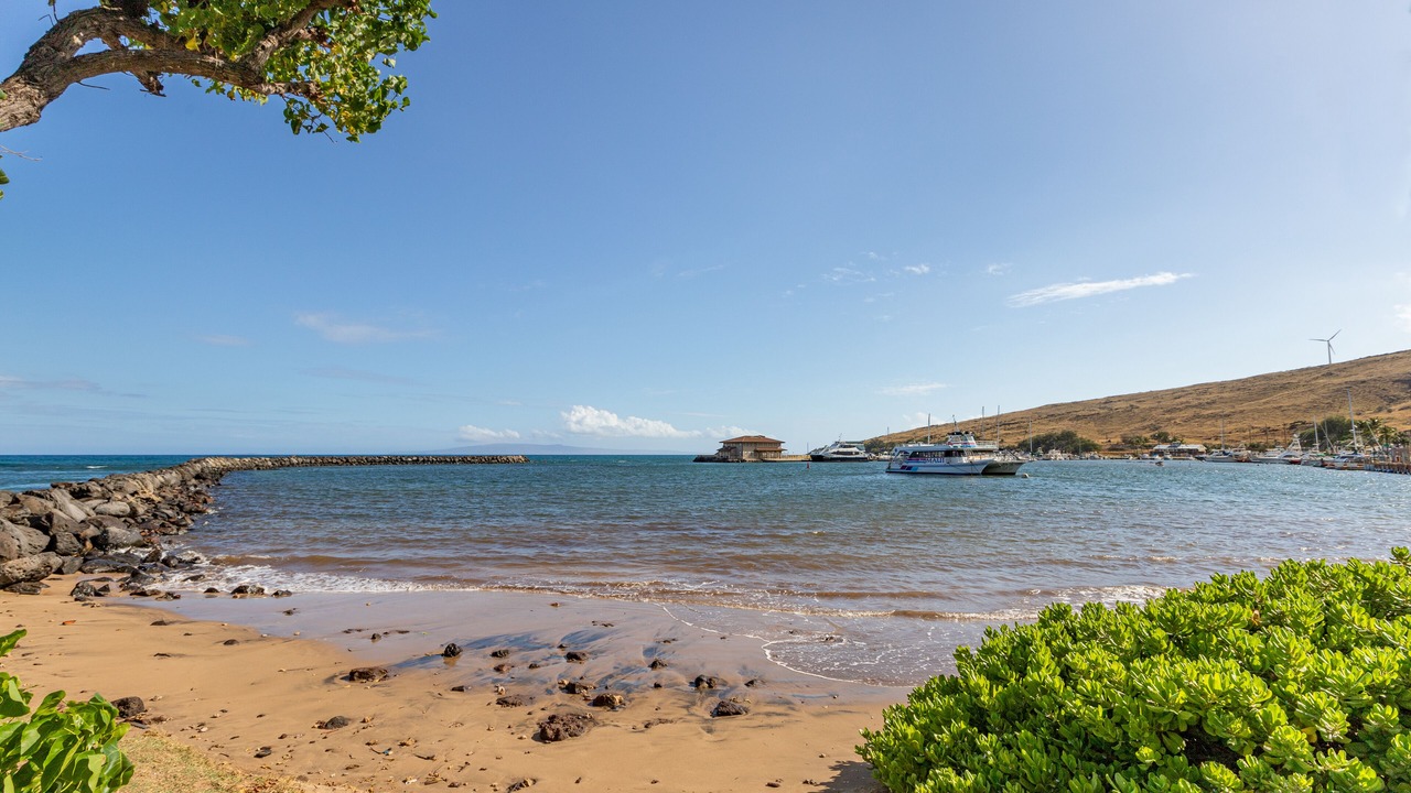 Photo of Others in Maalaea