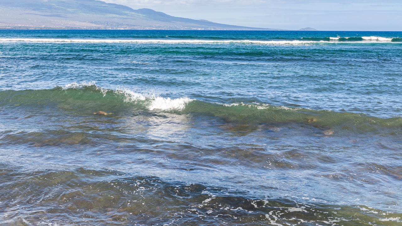 Photo of Others in Maalaea