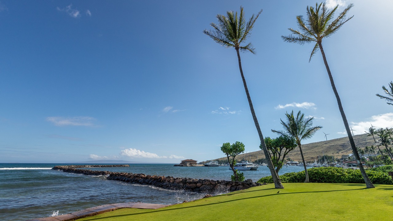 Photo of Others in Maalaea