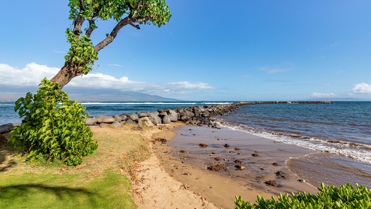 Photo of Others in Maalaea