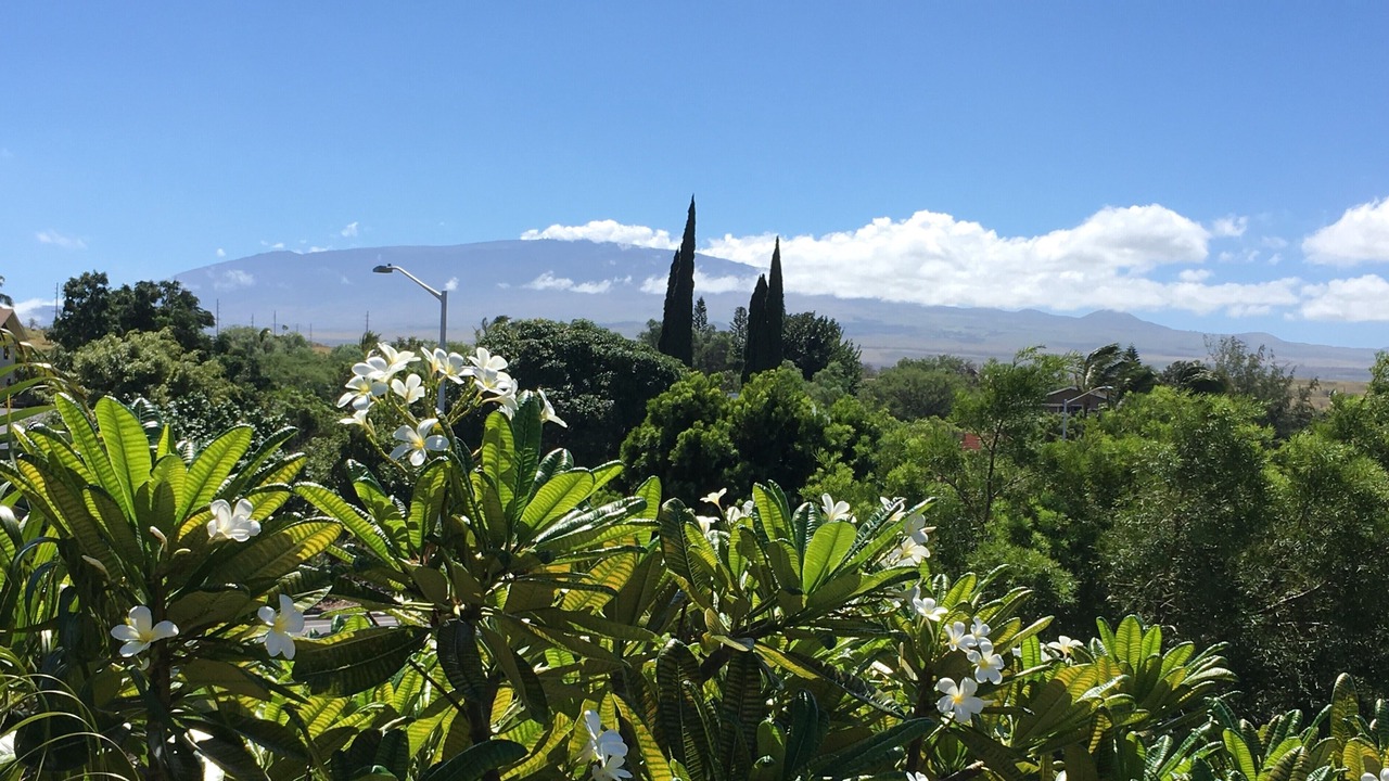 Photo of Outdoor in Waikoloa Village
