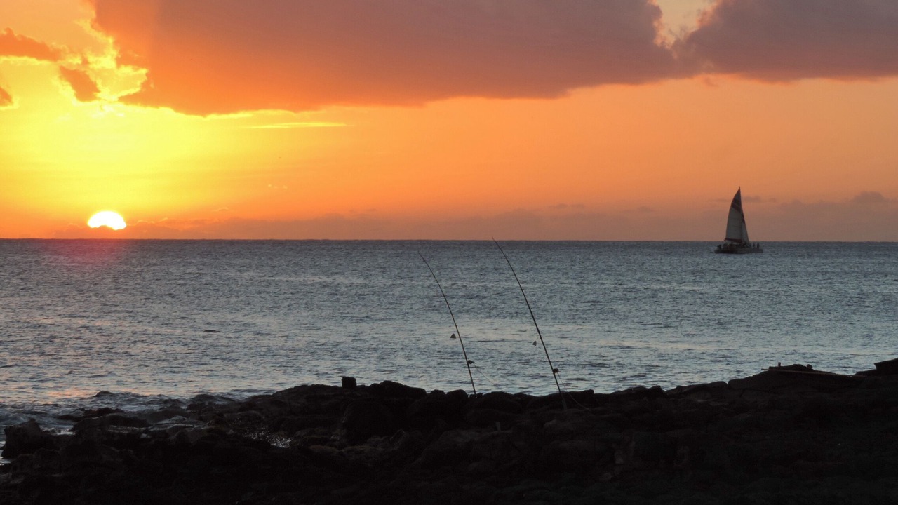 Photo of Others in Poipu