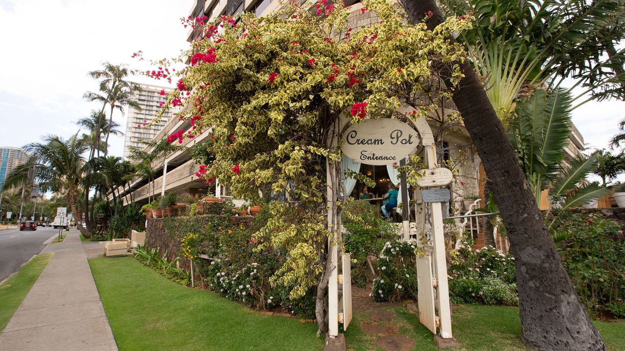 Photo of Outdoor in McCully - Moiliili