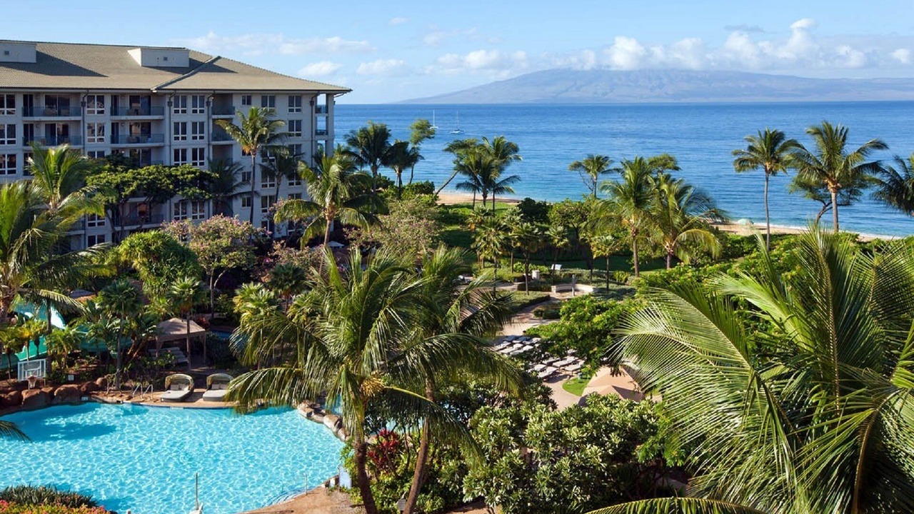 Photo of Others in Lahaina