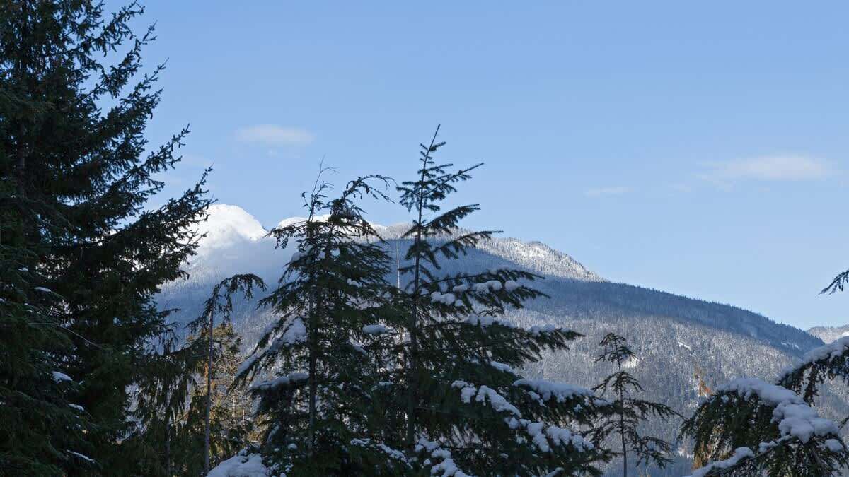 Photo of Others in Whistler Village