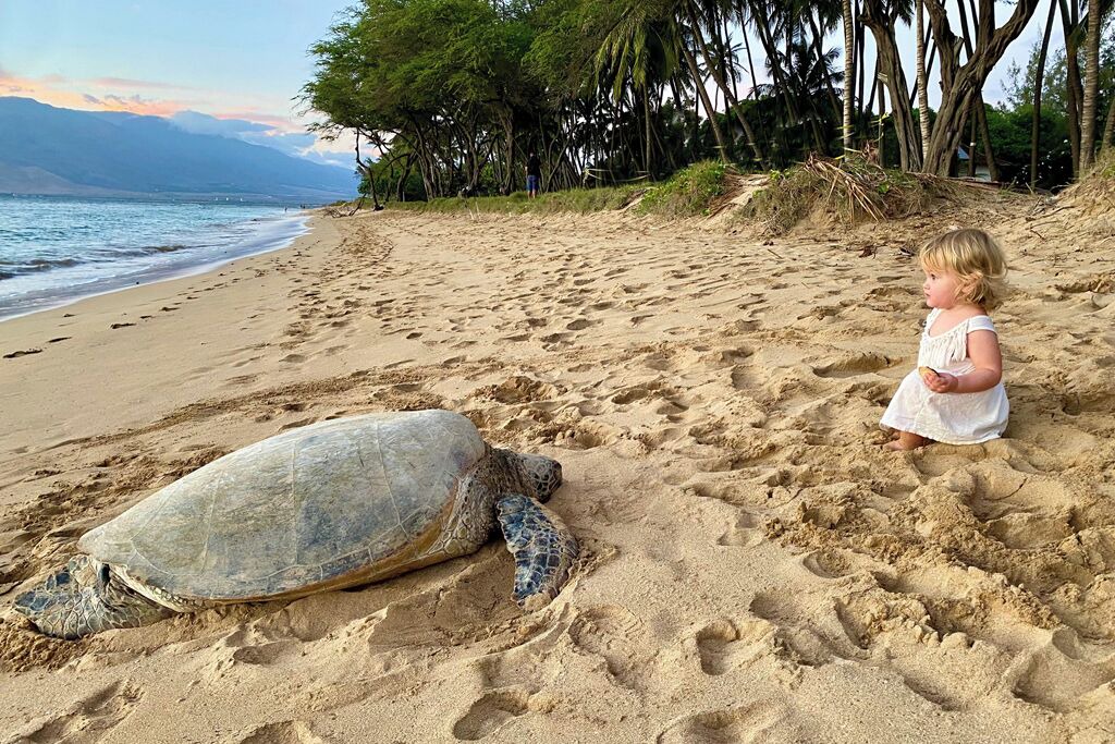 Photo of Others in Kihei