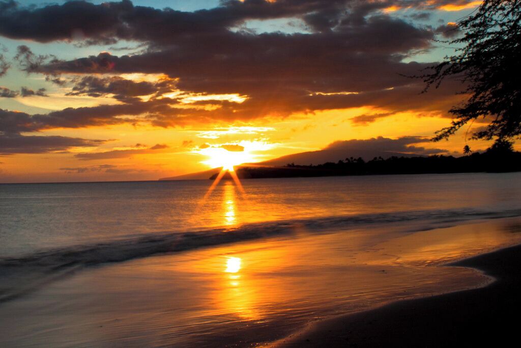 Photo of Others in Kihei