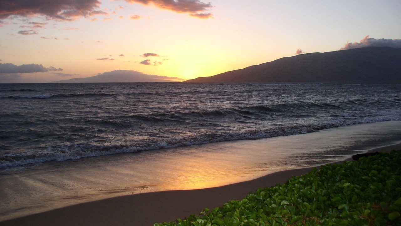 Photo of Others in Kihei