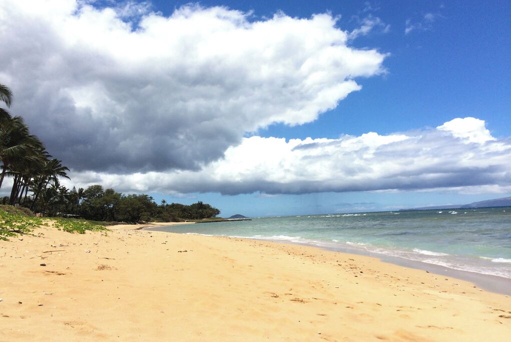 Photo of Others in Kihei