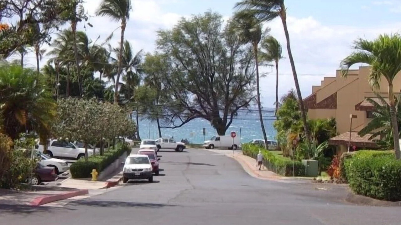 Photo of Others in Kihei
