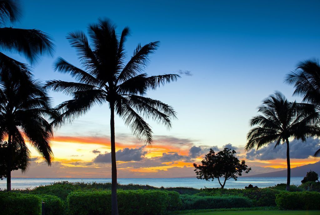 Photo of Outdoor in Lahaina