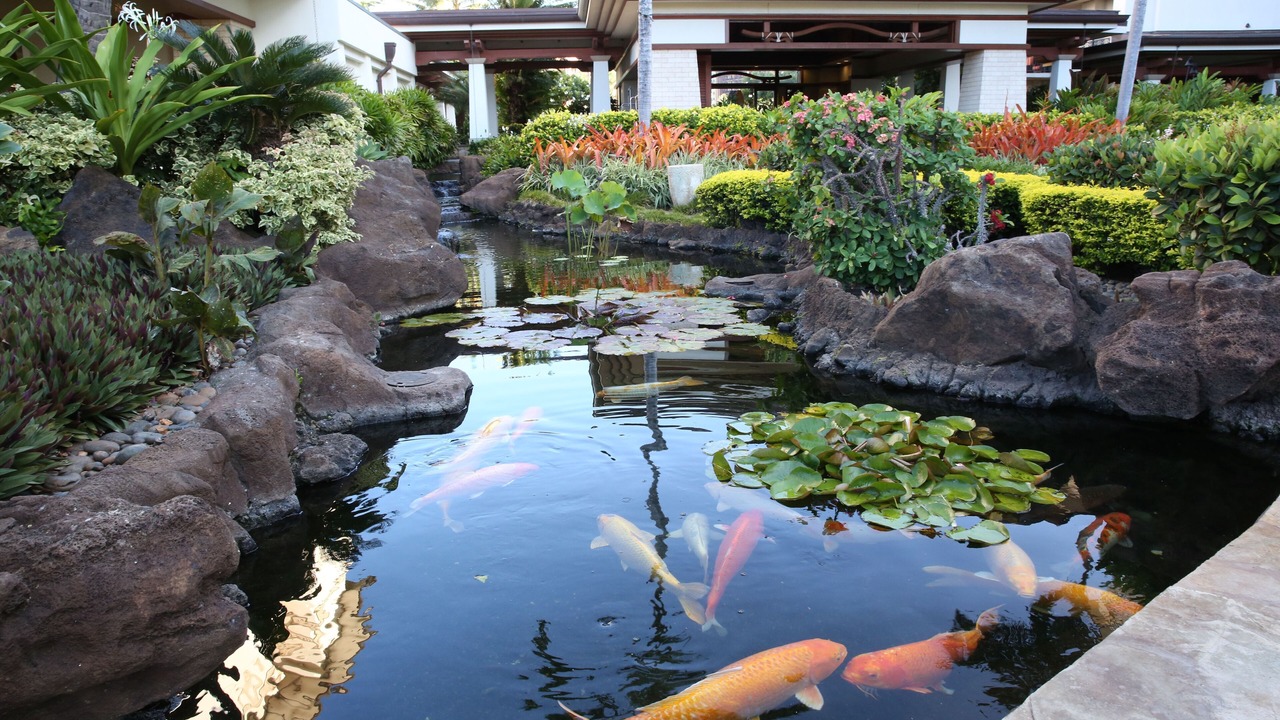 Photo of Others in Ko Olina