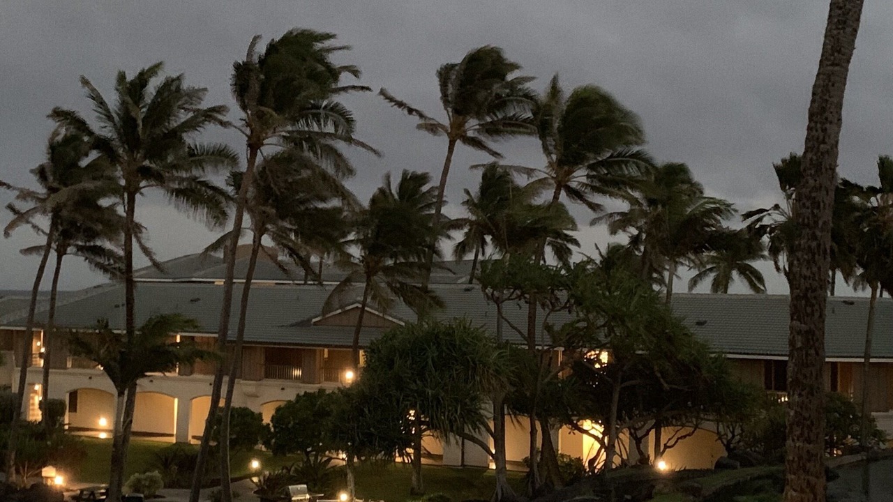 Photo of Outdoor in Bayview