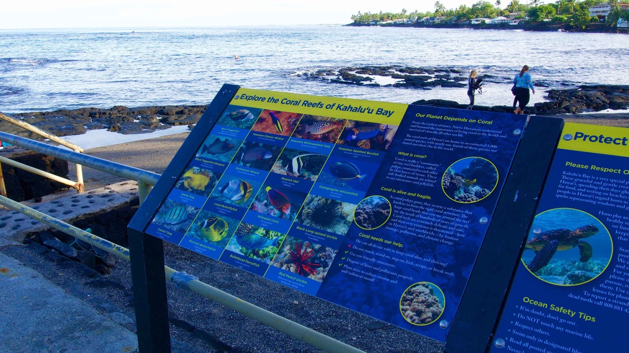 Photo of Others in Kahaluu Bay