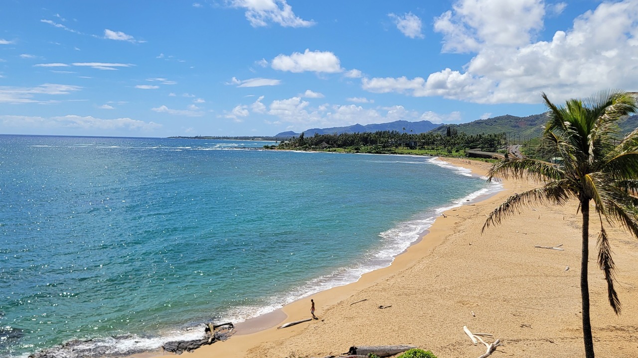 Photo of Others in Wailua