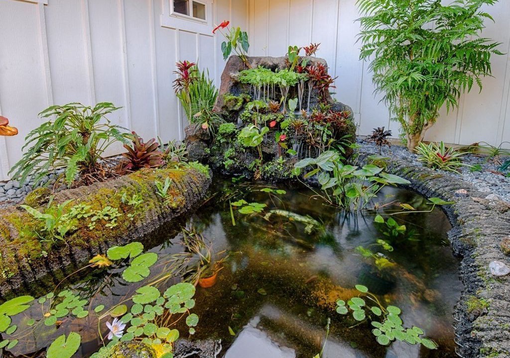 Photo of Outdoor in Princeville