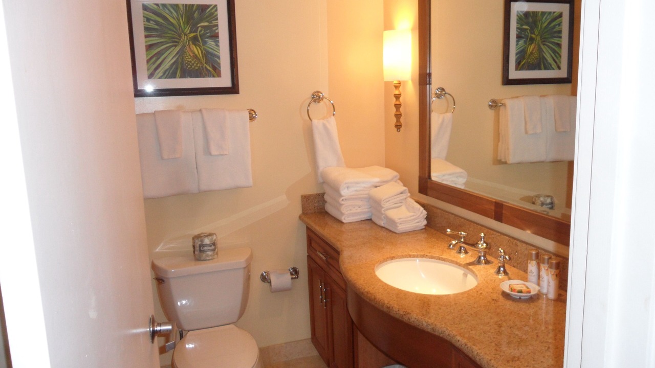 Photo of Bathroom in Kaanapali