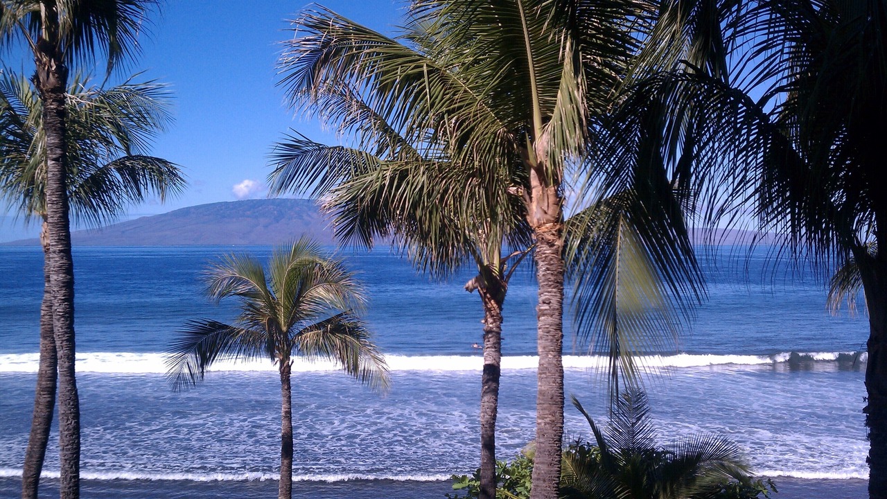 Photo of Others in Kaanapali