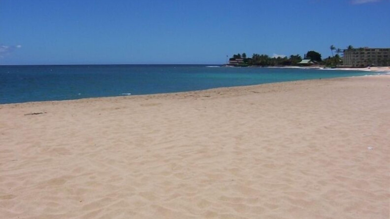 Photo of Others in Makaha