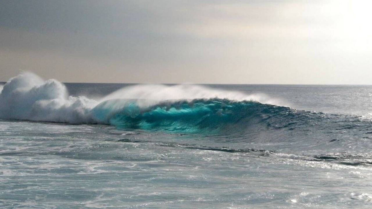 Photo of Others in Kahaluu Bay