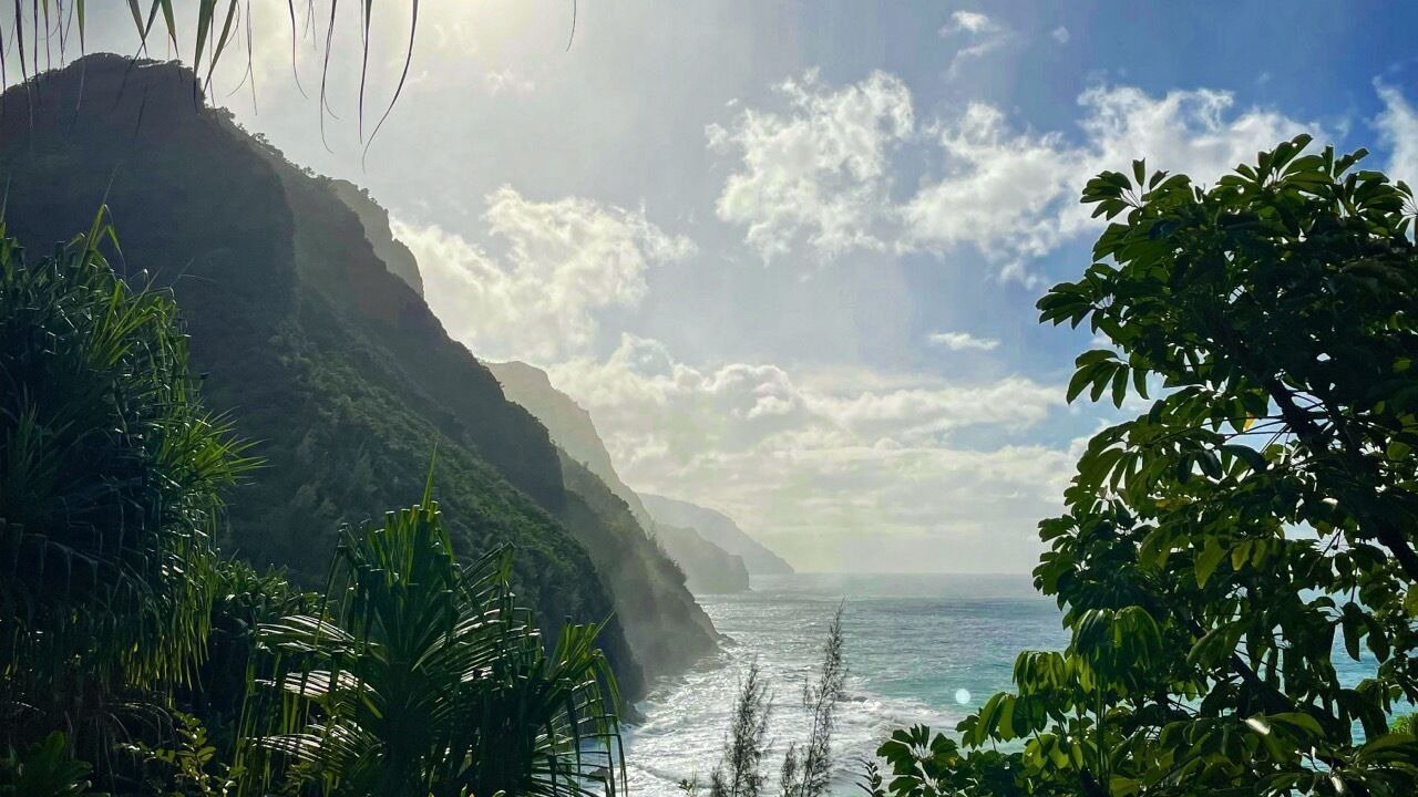 Photo of Outdoor in Princeville
